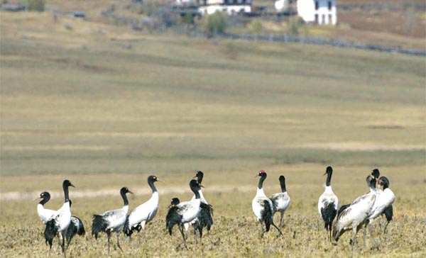 Bumdeling Wildlife Sanctuary